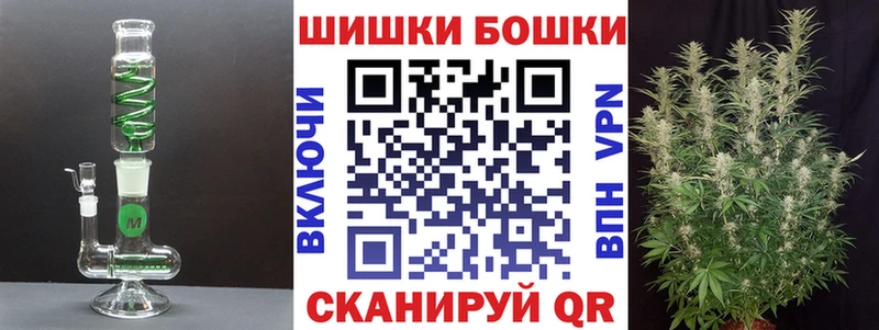 Конопля сатива Шатура
